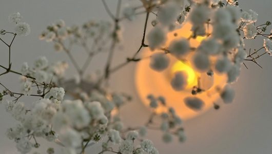 stille-geburt Leistung von Hebamme Regina Gorr: Stille Geburt